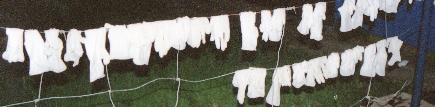 Photo of disposable gloves hanging out to dry overnight for resuse.