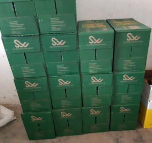 Photograph of boxes that each contain 12 bottles of cooking oil